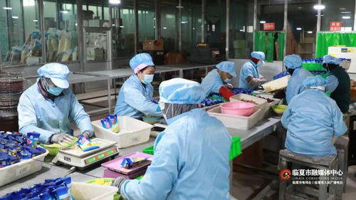 春節(jié)將至訂單增 臨夏市鄉(xiāng)村就業(yè)工廠奮力沖刺 開門紅