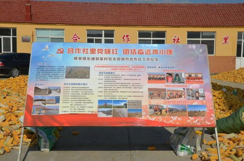 虎山鎮(zhèn)召開 作風(fēng)大改進 問題大整改 工作大提升 行動推進會